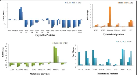 Fig. 4 Relative abundance of the representative cataractous proteins with relatively high sequence coverage identified in the human RLSC, CCand ARC groups