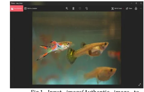 Fig.1 Input image(Authentic image to ) 