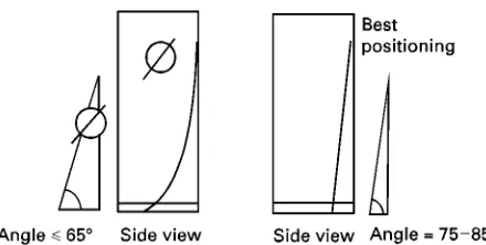 Figure 7Positioning of flexible-backed TLC plates in a devel-oping chamber.