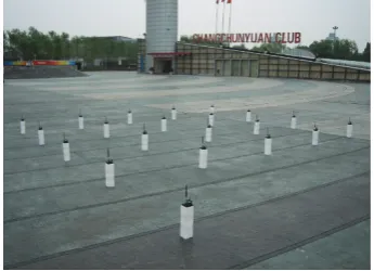 Figure 12: Kcdlocation experimental scene at a park.
