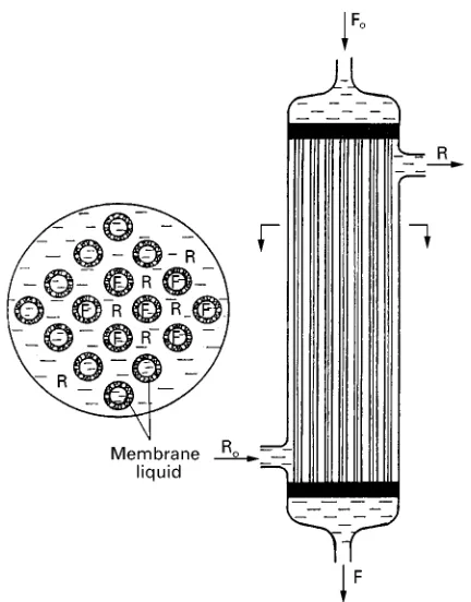 Figure 3Spirally wound supported liquid membrane module.R, Acceptor solution; F, donor solution.