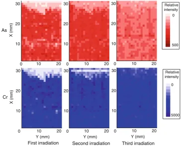 Fig. 2 Image of the wood surface of sample C5
