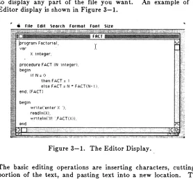 Figure 3-1. The Editor Display. 