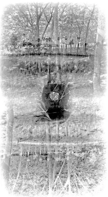 Figure 1. “Stone plaque” superimposed on “Rubber trees in formation”  