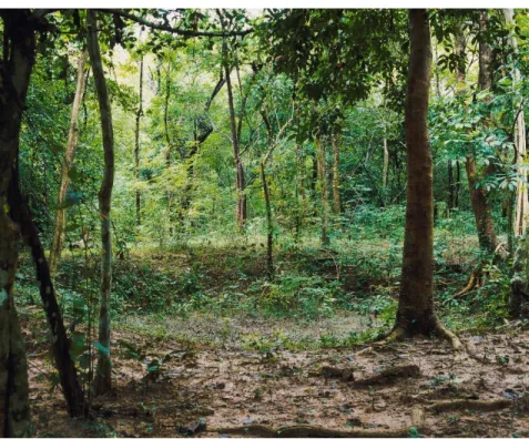 Figure 5. Kompong Thom, Sambor Prey Kuk (2009). 