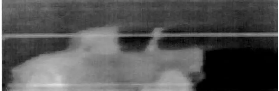 Figure 2-12. Sample Image from Thermal Imager.
