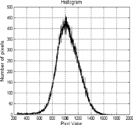Fig. 2 Typical histogram of the gray levels of a CT scan image