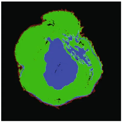 Fig. 8 Region segmentation of M15A_1 using a neural network