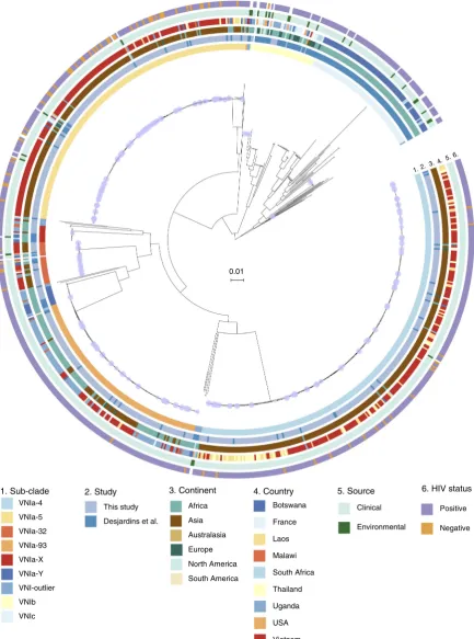 Fig. 1 A whole-genome single-nucleotide polymorphism (SNP) phylogeny of all VNI in this study and Desjardins et al.8, constructed from 325,812 variablepositions