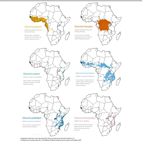 Fig. 1 Geographic distribution, ecology, and vectorial capacity of sequenced Glossina species