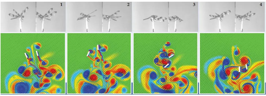 Figure 3.5 Stop-action dragonfly flight 