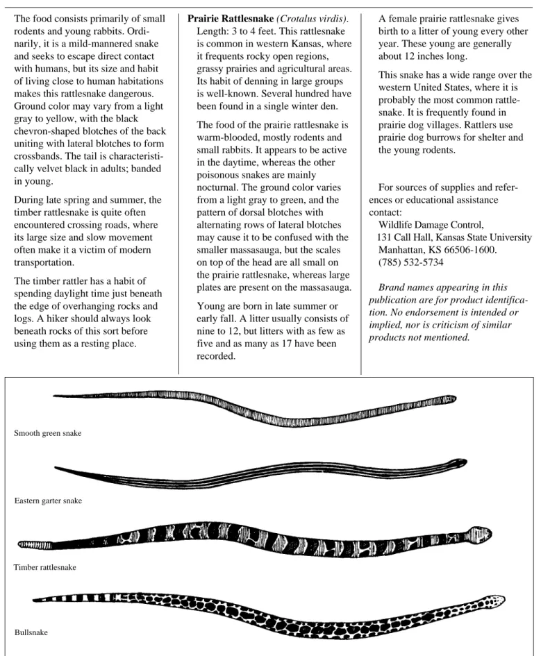 Figure 7. Solid-colored or lengthwise-striped snakes are nonpoisonous. If a snake is marked any other way, use other characteristics for identification.