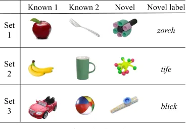 Fig 1.  Object depicted in the current study. 
