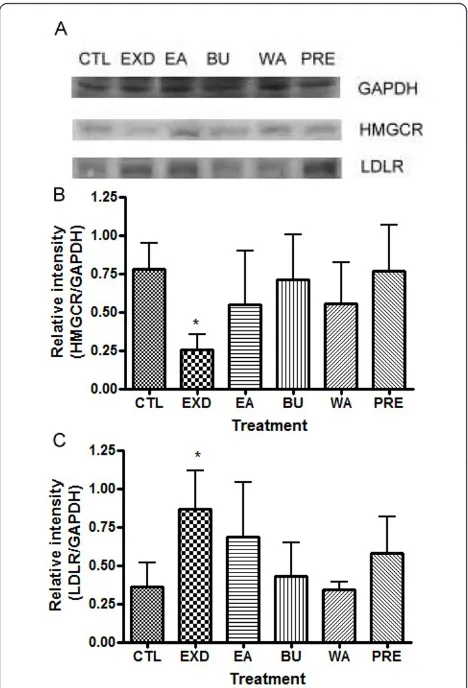 Figure 5 Relative intensities of HMG-CoA reductase (HMGCR)and low density lipoprotein receptor (LDLR) (normalized withGAPDH in Western blot experiment) after treatment of oldfemale rats with EXD, its constituent fractions (EA, BU and WA)and premarin (PRE)