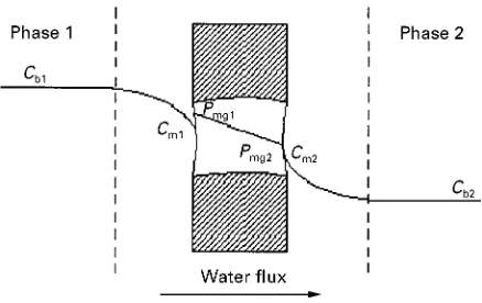 Figure 4Schematic representation of water transport in osmo-tic distillation.