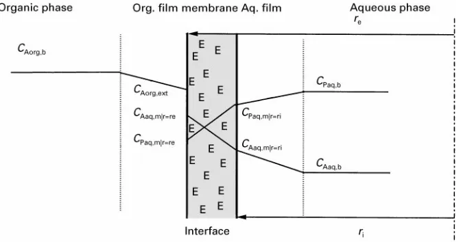 Figure 5Representation of the enzymatic conversion of a substrate (subscript A) soluble in the organic phase to a product (subscriptP) soluble in the aqueous phase