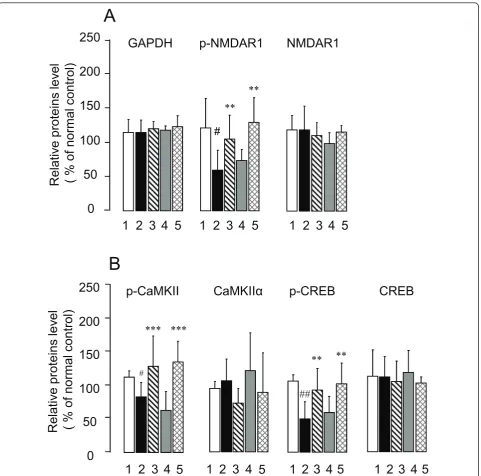 Figure 7 Quantitative comparisons of CTS-induced changes in expression levels of p-NMDAR1, NMDAR1, p-CaMKII, CaMKII< 0.01 vs