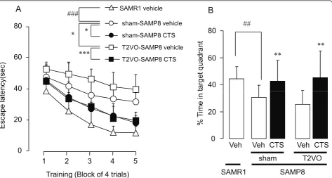 Figure 5 CTS administration-induced amelioration of impaired water maze performance of SAMP8 mice with and without ischemicinsult