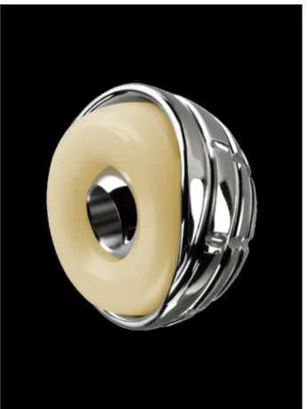 Fig. 1 The biomechanical concept of the dual mobility cup consistsof a double articulation—between femoral head and liner andbetween liner and cup