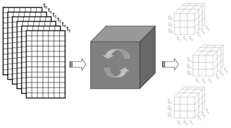 Figure 1. Input and output of the Tricluster algorithm.