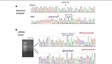Fig. 3 ISPDb molecular analysis. a Electropherograms depicting the missense mutation c.676 T > C and the intronic substitution c.836-5 T > G