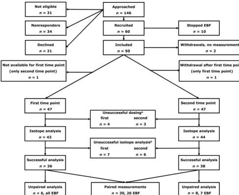 FIGURE 1Flowchart of participants and samples.