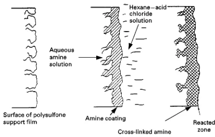 Figure 4A liquid membrane device for sample preparation. A,hollow fibre (reaching through a hole drilled through the wholeblock); B, fused silica capillaries inserted in the ends of the fibre;C, O-rings for fixing the fibre and capillaries; D, connectors f