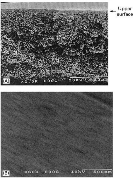 Figure 2(A) SEM polysulfone porous support cross-section.(B) SEM polysulfone porous support (top view).