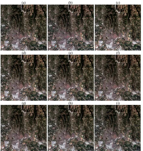 Fig. 3 30 m Downscaling results for the Landsat 8 image on 5 August 2015 (bands 432 as RGB)