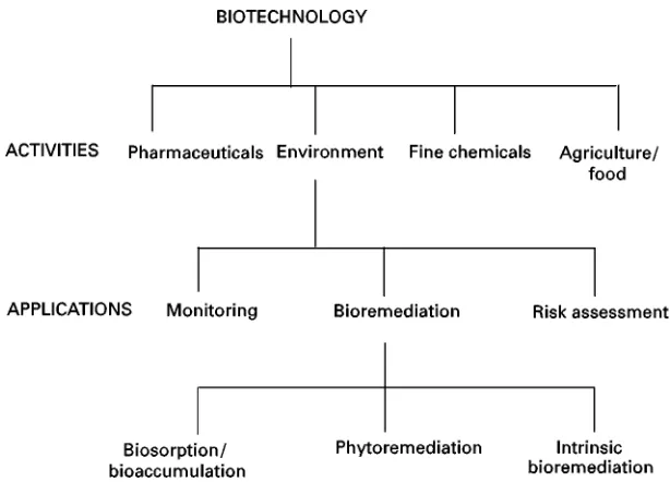 Figure 1Biotechnology activities and applications. (This is an original developed by H Eccles.)