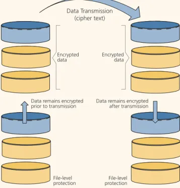 Figure 5: Full Encryption – Entire Disk Protected 