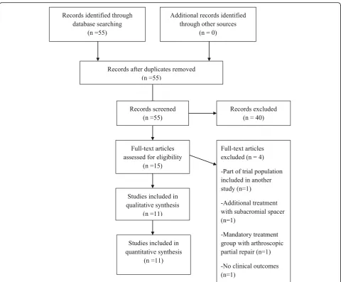 Fig. 1 Flow chart of study selection according to PRISMA guidelines for reporting systematic reviews and meta-analyses