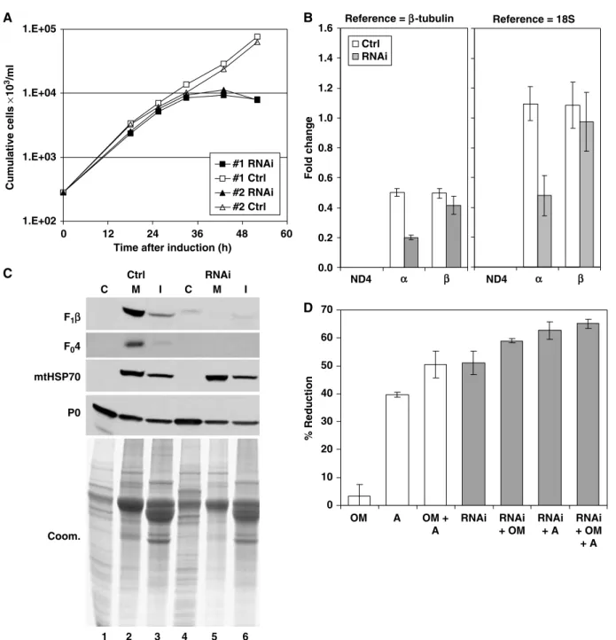 Figure 3 Knockdown of ATP synthase subunit a expression is lethal to Dk T. evansi Antat 3/3