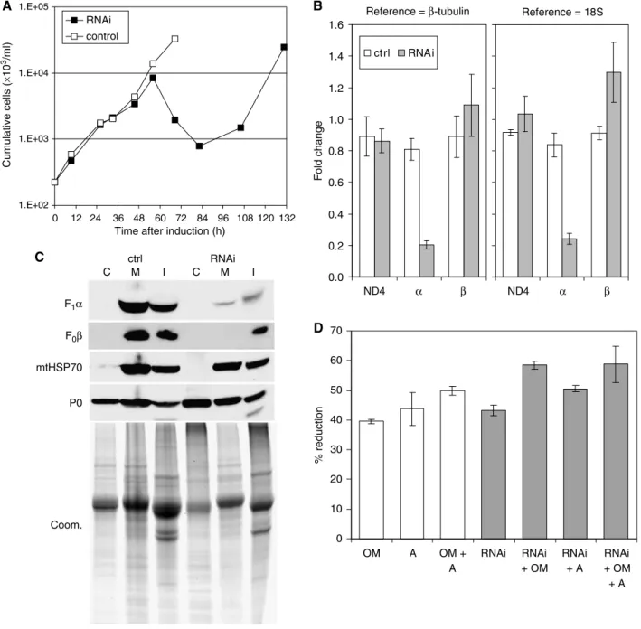 Figure 1 Knockdown of ATP synthase subunit a expression is lethal to LS stage T. brucei