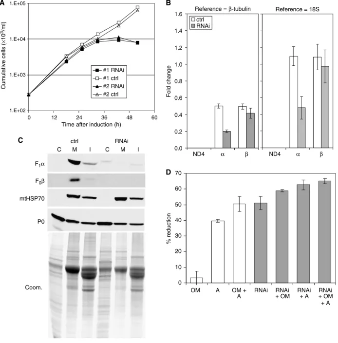 Figure 3 Knockdown of ATP synthase subunit a expression is lethal to Dk T. evansi Antat 3/3