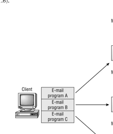 Figure 1.6).