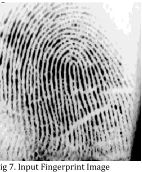 Fig 8. Biometric Registration Process 