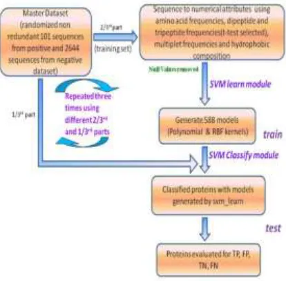 Figure 5.1  Flow chart of SVM   classification 