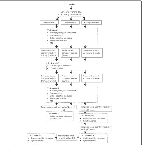 Fig. 1 Study design flowchart of TAPASS
