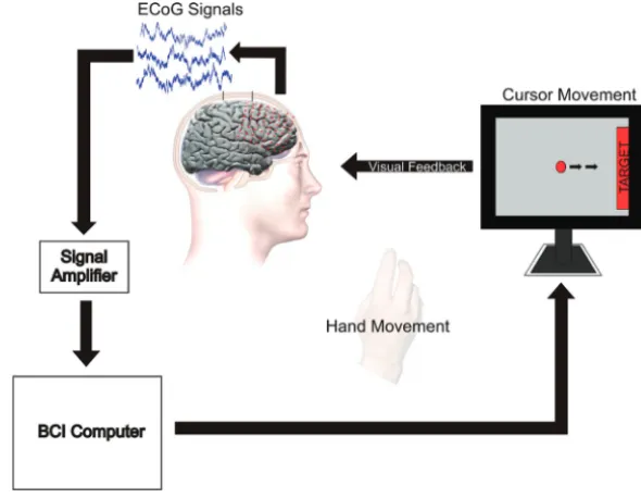FIGURE 2Experimental setup for a closed-loop control task. The on-screen cursor moves toward the target withthe performance by the patient of an appropriate cognitive task (eg, hand movement)