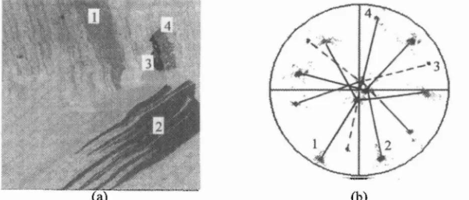 Figure  2:  (p,=90°  constant section plot of the ODF calculated (a) from X-ray diffraction and  @)  from EBSD 