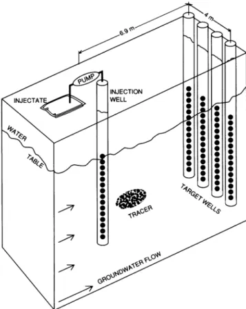 FIG. 1. Diagram of the well locations at the two small-scale, natural-gradient tracer test sites.