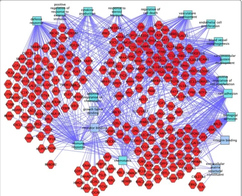 Fig. 2 Functional analysis of genes upregulated in mutant mesangial cells. Genes are red hexagons and molecular functions and biological processes arerectangles