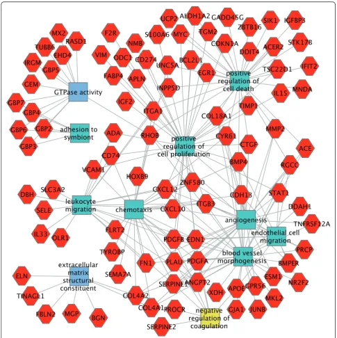 Fig. 6 Functional analysis of genes upregulated in mutant endothelial cells. Genes are red hexagons and molecular functions and biologicalprocesses are rectangles