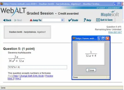 Figure 1. A test item ( ‘simplify a fraction’) and a student’s answer. The Preview  window is also shown