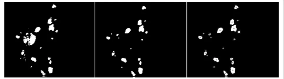 Figure 2 Top-bottom hat transform.