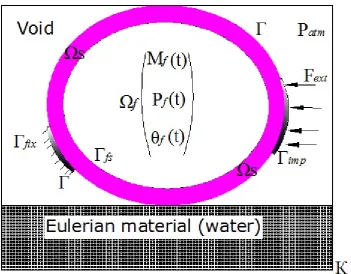 Figure 2: Fluid Structure Interaction Model  (where m=fmass of fluid, p=fgauge pressure of fluid and θ  is the temperature of the fluid) 