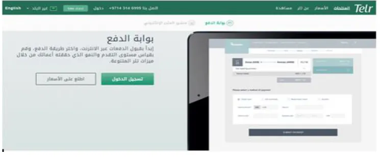 Figure -3: Telr e-payment portal 