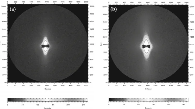 Fig. 2. Two-dimensional SAXS patterns of American pine in the dry state (a) and in the hygroscopic state with a volume percentage of moisture of 18.4% (b)