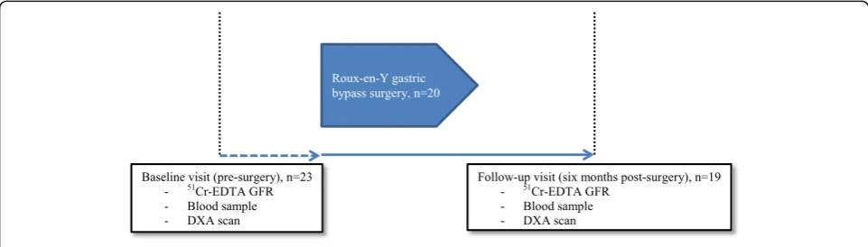 Fig. 1 Study design